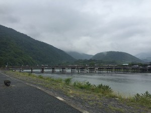 雨の渡月橋