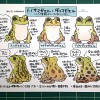 日本のカエル図鑑展